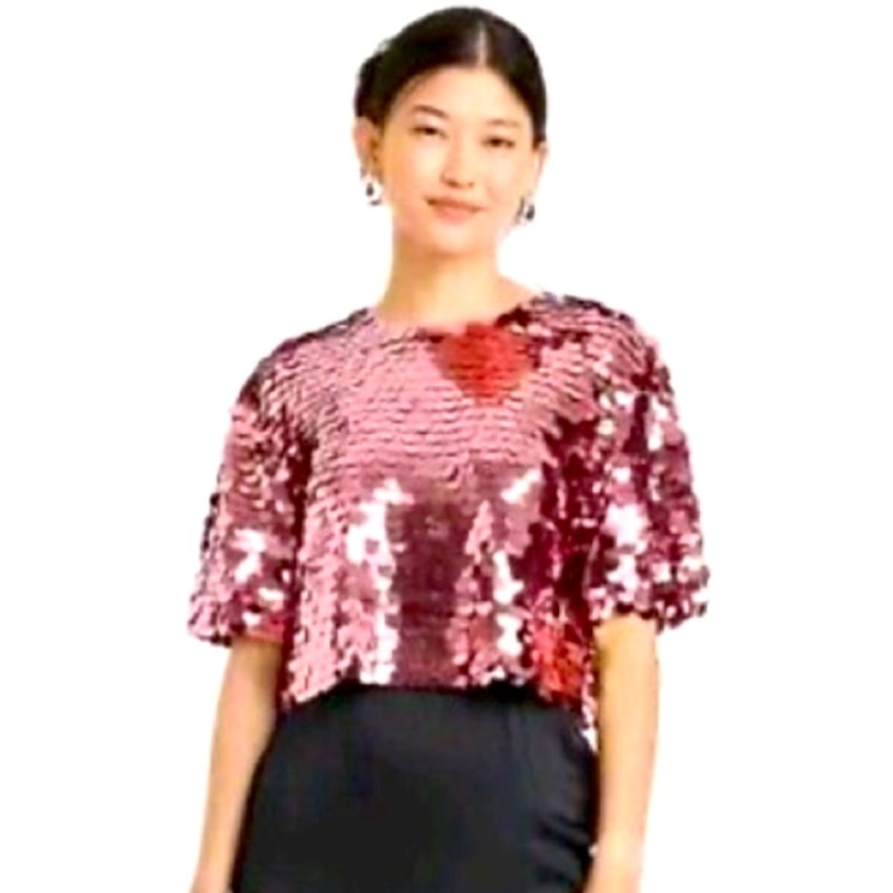 A New Day Pink women’s Short Sleeve Pink Sequin cropped blouse size XL